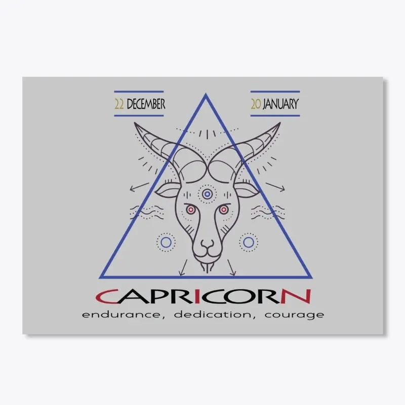 Capricorn T-shirt , Zodiac sign t-shirt